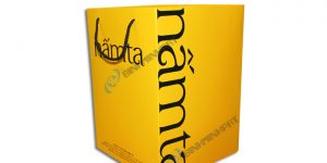 In túi giấy Marketing chất lượng - hinh 3