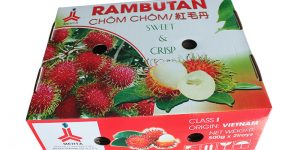 In hộp chôm chôm xuất khẩu - hinh 4