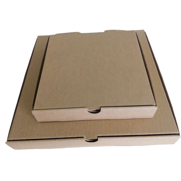 Hộp pizza carton 3 lớp sóng e - h05